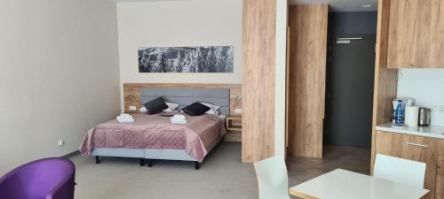 a small bedroom with a bed and a kitchen at Aparthotel Apartamenty Czarna Góra 227 in Sienna