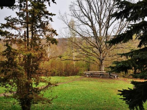 Cabana Bodvaj – Photos 2