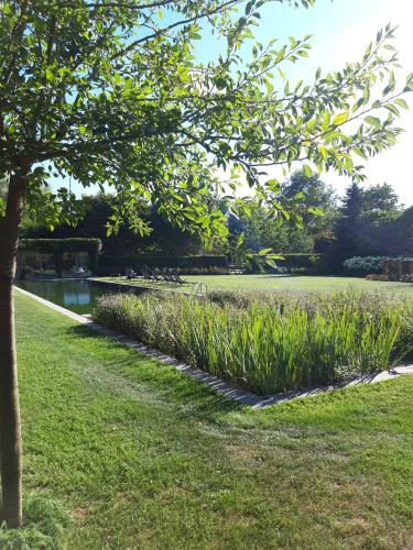 a tree in a park with grass and plants at Domein Den Buiten Bed And Breakfast DnD in Sint-Niklaas