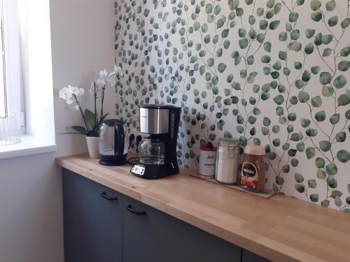 a kitchen counter with a coffee maker on top of it at Apartmány Oxota in Jaroměř