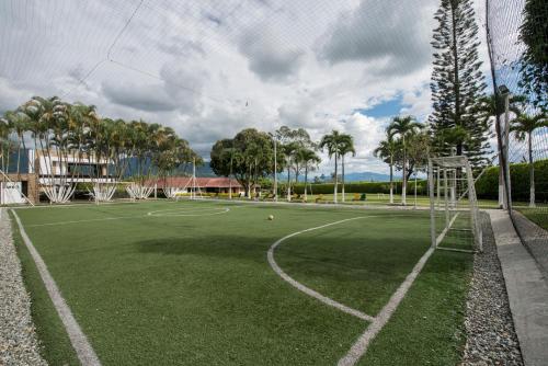 an artificial soccer field with palm trees and a goal at Chalet La Alemania in Calarcá