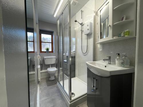 a bathroom with a shower and a toilet and a sink at Westend Holiday Let 2 Brecon in Brecon