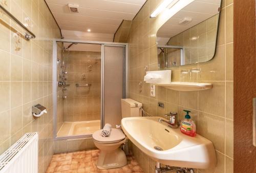 a bathroom with a sink and a toilet and a shower at Landhaus Metzgerstubn in Sankt Martin