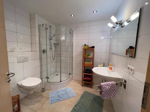 La salle de bains est pourvue d'une douche, de toilettes et d'un lavabo. dans l'établissement Appartement im Ahlesbrunnen, à Bietigheim-Bissingen