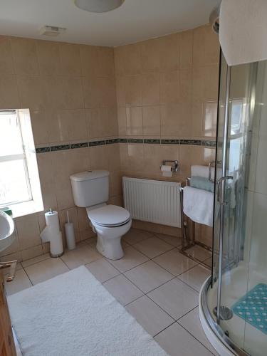 a bathroom with a toilet and a sink and a shower at Kents guesthouse accommodation in Kilmacthomas