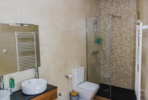ein Bad mit einer Dusche, einem WC und einem Waschbecken in der Unterkunft Casas de Campo Curral Grande - By Cimo da Quinta in Miranda do Douro
