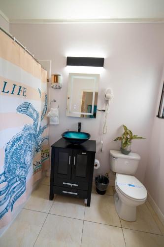 a bathroom with a sink and a toilet and a mirror at Nickels Garden Villas in Montego Bay