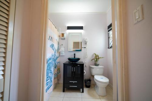 a small bathroom with a toilet and a sink at Nickels Garden Villas in Montego Bay