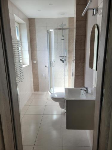 La salle de bains est pourvue d'un lavabo et d'une douche. dans l'établissement Paloma9, à Krotoszyn