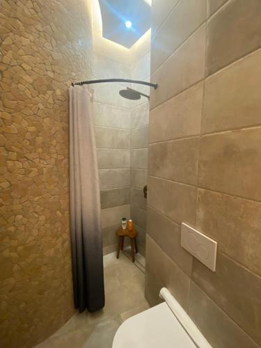 a bathroom with a shower with a toilet and a sink at Kores of Poros in Poros