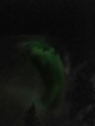 a green object in the sky at night at Toola-Lodge in Syöte
