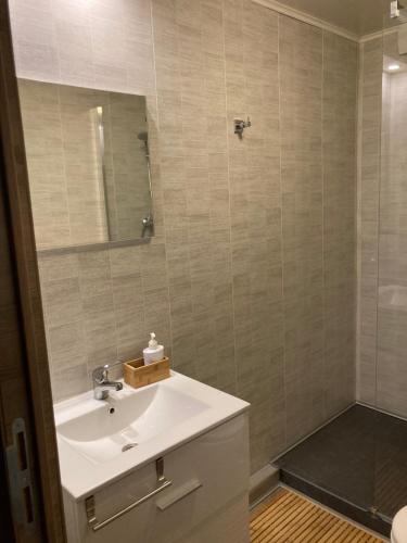a bathroom with a sink and a mirror at Terrasses de Malmedy 47 in Malmedy