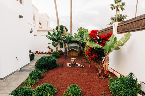 einen Garten in einem Gebäude mit roten Blumen und Pflanzen in der Unterkunft La Palmera - Fabulosa Casa, LANZAROTE, Playa Honda in Playa Honda
