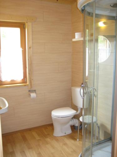 a bathroom with a toilet and a glass shower at Almhütte Tschiernock in Seeboden