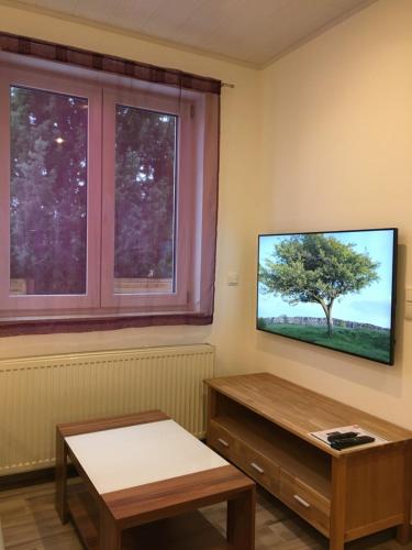 Μια τηλεόραση ή/και κέντρο ψυχαγωγίας στο Monteurzimmer Studio mit Singleküche
