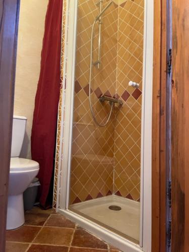 une douche dans une salle de bain avec toilettes dans l'établissement Charmante chambre dans belle Maison typique du Village, à Lagorce