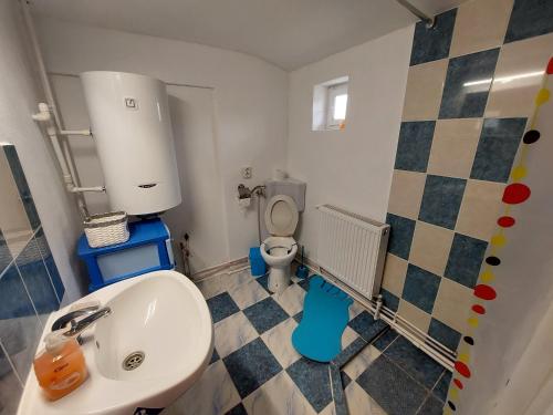 un piccolo bagno con un water e un lavandino di CABANA CASA LU'BACIU ad Arpaşu de Sus
