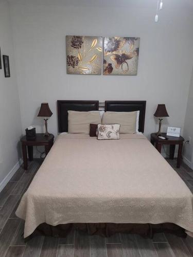 a bedroom with a large bed with two tables at Sunshine in Tampa