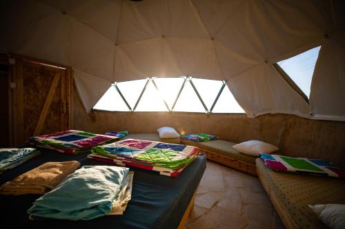 una habitación con 3 camas en una tienda de campaña en Desert Shade camp חוות צל מדבר, en Mitzpe Ramon