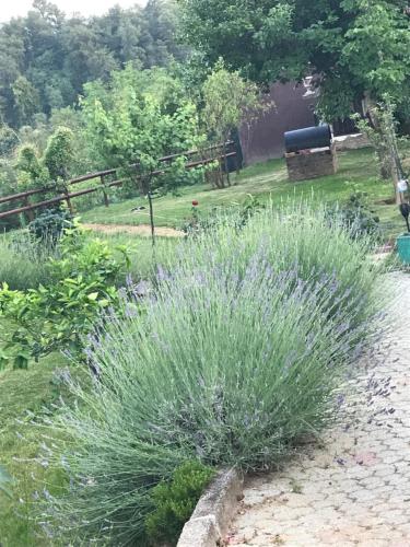 Kép Casa Valle Bruna szállásáról Fubinéban a galériában