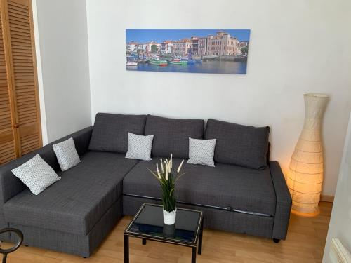 - un salon avec un canapé gris et une table dans l'établissement Biarritz centre bel Apt 2 pièces rue calme, à Biarritz