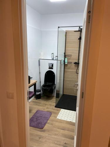 a bathroom with a shower with a toilet and a mirror at Apartament Gabriela 39 in Baia Mare