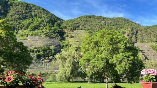 Pemandangan umum gunung atau pemandangan gunung yang diambil dari hotel