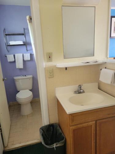 a bathroom with a sink and a toilet and a mirror at Budget Inn Motel Dalhart in Dalhart