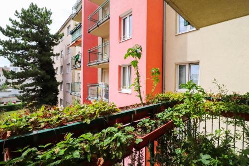 CozyNite Premium Apartment Schönbrunn 2