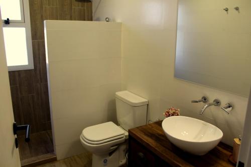 a bathroom with a toilet and a sink and a mirror at Casita en Chacras in Ciudad Lujan de Cuyo