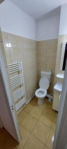 un bagno con WC e lavandino di Valentina Studio a Baia Mare
