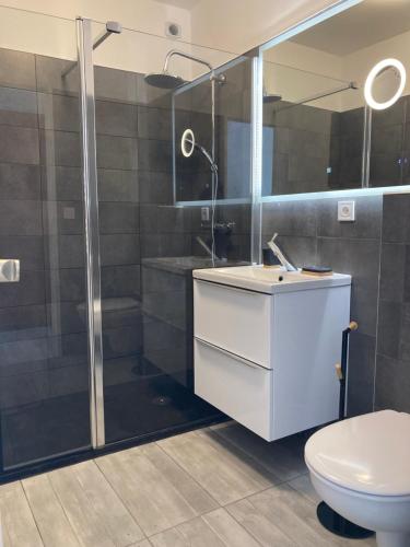a bathroom with a shower and a sink and a toilet at Les Mélèzes 1 Studio in Barcelonnette