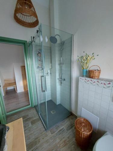 a bathroom with a shower with a glass door at Dimineți în Cerdac in Piatra Neamţ