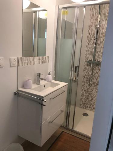 une salle de bain avec un lavabo et une douche dans l'établissement Chambre cosy 25m2, à Collobrières