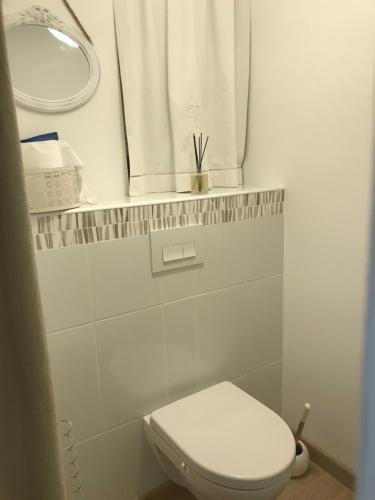 La salle de bains blanche est pourvue de toilettes et d'un miroir. dans l'établissement Chambre cosy 25m2, à Collobrières