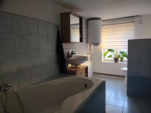 Kúpeľňa v ubytovaní Apartman BALA