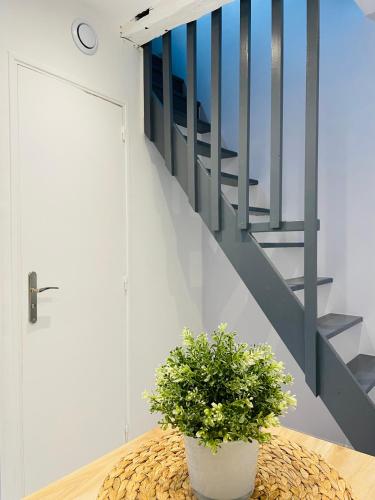 a potted plant sitting on a table next to a staircase at BE MY APPARTS, Studio de charme "LE COSY", DOUAI, Coeur de ville in Douai
