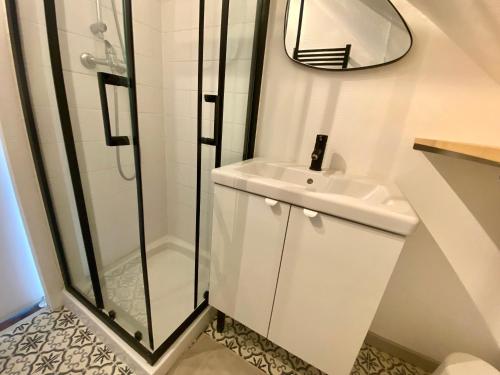 une salle de bain avec une douche, un lavabo et un miroir dans l'établissement Magnifique duplex pour huit personnes -070, à Rouen