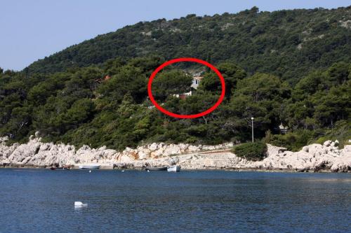 Fotografie z fotogalerie ubytování Apartments by the sea Cove Saplunara, Mljet - 4925 v destinaci Saplunara