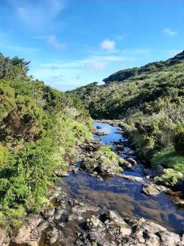an aerial view of a river in a valley at Casa vicente in Santa Cruz das Flores