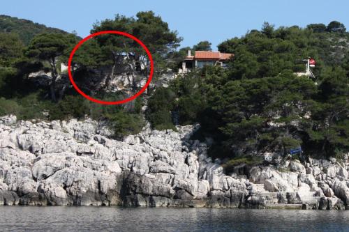 Fotografie z fotogalerie ubytování Apartments by the sea Cove Saplunara, Mljet - 4914 v destinaci Saplunara