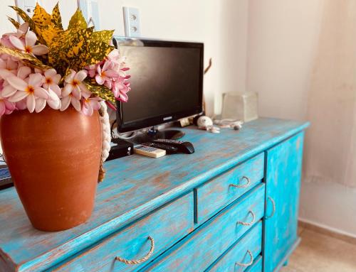 a blue dresser with a television and a vase with flowers at Casa Di Dóres in Trairi