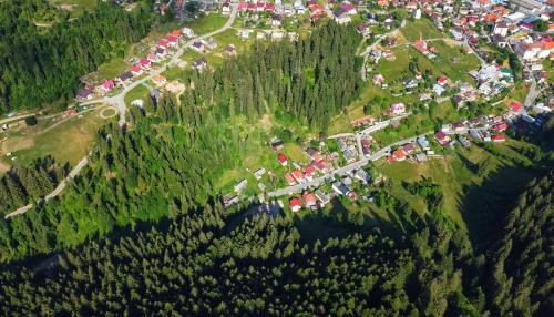 Природа в окрестностях виллы