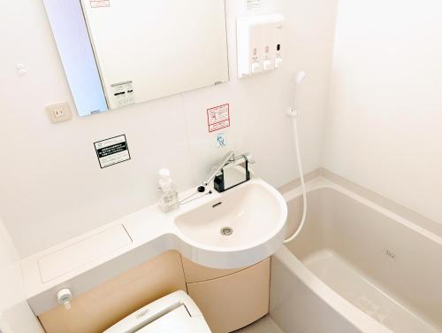 a bathroom with a sink and a toilet and a mirror at R&B Hotel Kanazawa Station Nishiguchi in Kanazawa