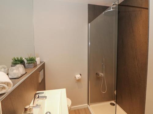 a bathroom with a shower with a toilet and a sink at Shenton Cottage in Buxton