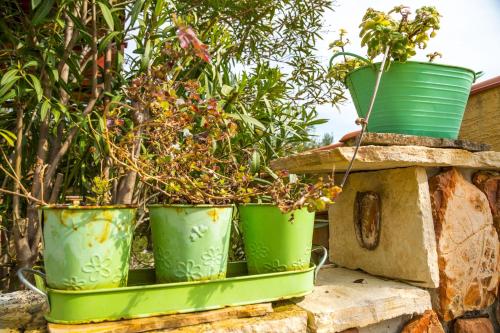 three green buckets with plants in them on a wall at Apartments by the sea Rogac, Solta - 11220 in Rogač