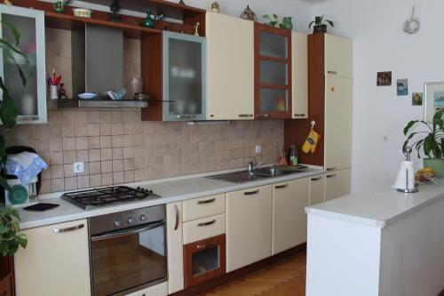 A kitchen or kitchenette at Apartments with WiFi Split - 11285