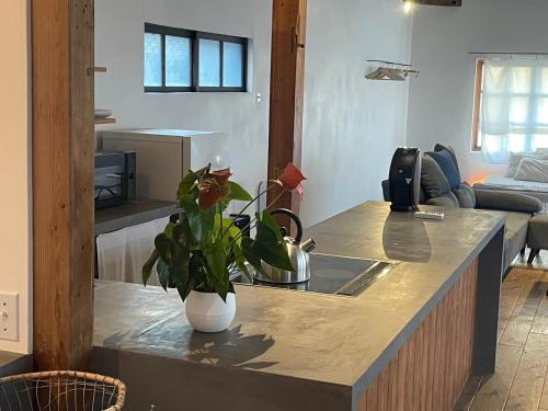 a kitchen with a counter with a vase with a plant on it at Jasmine in Hukue