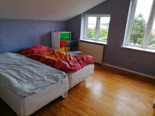 ein Schlafzimmer mit einem Bett und zwei Fenstern in der Unterkunft Thisted Øst Bed & No Breakfast in Thisted