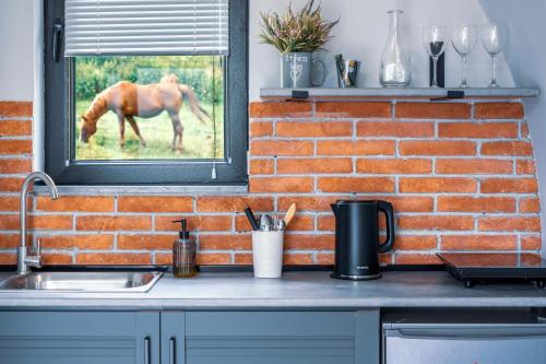 a kitchen with a horse grazing in a window at Kazbegi Glamping in Stepantsminda